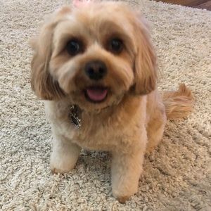 Meet your Posher, Becky